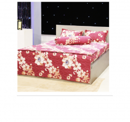 BỘ DRAP ÁO GỐI COTTON POLLY PL32