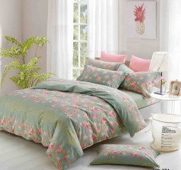 BỘ DRAP COTTON 1M6 HQ374