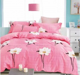BỘ DRAP COTTON HQ 311